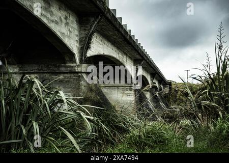 Ponte che attraversa il fiume Okura, South Westland Foto Stock