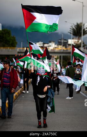 Bogotà, Colombia. 4 giugno 2024. I manifestanti prendono parte a una manifestazione a sostegno della Palestina il 4 giugno 2024 a Bogotà, Colombia. Foto di: Sebastian Barros/Long Visual Press credito: Long Visual Press/Alamy Live News Foto Stock