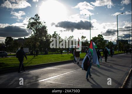 Bogotà, Colombia. 4 giugno 2024. I manifestanti prendono parte a una manifestazione a sostegno della Palestina il 4 giugno 2024 a Bogotà, Colombia. Foto di: Sebastian Barros/Long Visual Press credito: Long Visual Press/Alamy Live News Foto Stock