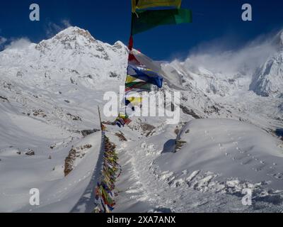 Un primo piano di montagna innevata con bandiere Foto Stock
