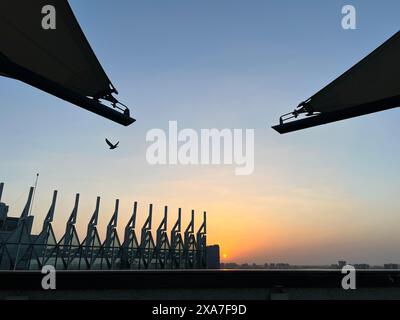 Il sole tramonta sul cantiere con più gru Foto Stock