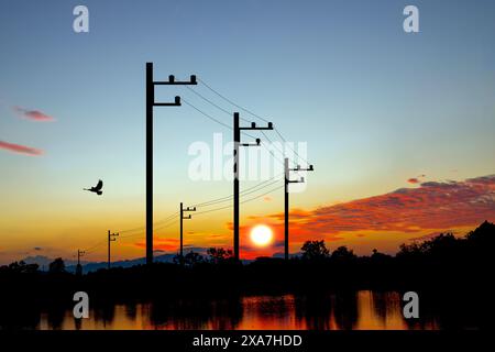 Una vista mozzafiato dei pali ad alta tensione sagomati contro un tramonto vibrante, perfetto per progetti a tema energetico e naturalistico. Illustrazione 3D. Foto Stock