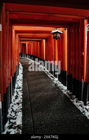 Una rara neve invernale al Torii Gate Tunnel al Santuario di Fushimi Inari a Kyoto in Giappone. Travi arancioni e nere con tradizionali Lanterne giapponesi Foto Stock