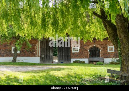 Un vecchio edificio con porte aperte e panchine sotto una tettoia di alberi in primo piano Foto Stock