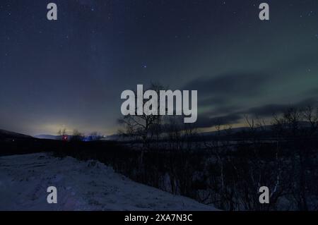 Una notte d'inverno con l'aurora boreale che risplende su una foresta innevata Foto Stock