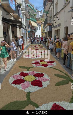 Sitges, Barcellona, Spagna - 3 giugno 2024: Un momento festivo è immortalato dove i partecipanti creano motivi artistici usando solo fiori sotto lo sguardo Foto Stock