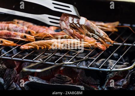 Piccoli gamberetti o grandi gamberi cucinati al barbecue, ottimo pasto e cibo sano Foto Stock