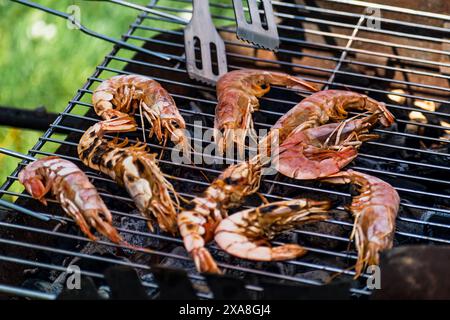 Piccoli gamberetti o grandi gamberi cucinati al barbecue, ottimo pasto e cibo sano Foto Stock