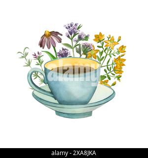 Illustrazione acquerello. Tazza blu con tè, erba prata, tisane, erba del lungago, trifoglio, Hypericaceae. Tutti i prodotti sono dipinti a mano con acquerelli. Foto Stock