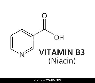 Vitamina b3 o niacina formula molecolare c6h5no2. La sua struttura è costituita da un anello piridina e da un gruppo carbossammide, essenziali per vari processi metabolici nel corpo. Schema chimico per l'istruzione dei vettori Illustrazione Vettoriale