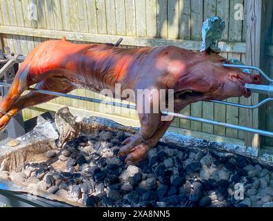 Un maiale intero su una rosticceria che arrostisce su carboni caldi in una giornata di sole. Foto Stock
