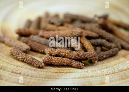 Pepe lungo (Piper longum), su una tavola di legno Foto Stock