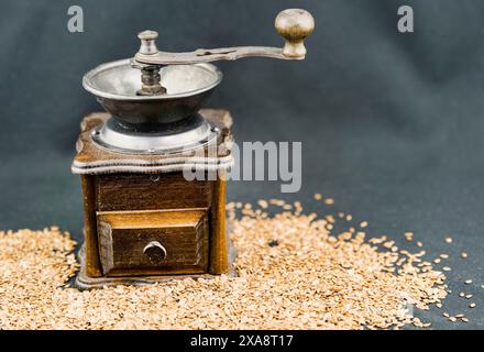 Lino comune (Linum usitatissimum), semi di lino con mulino manuale Foto Stock