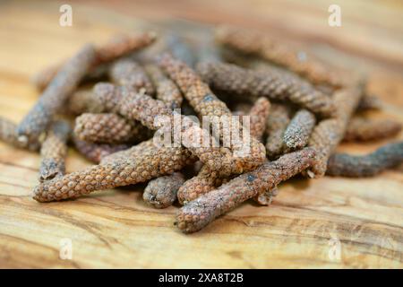 Pepe lungo (Piper longum), su una tavola di legno Foto Stock