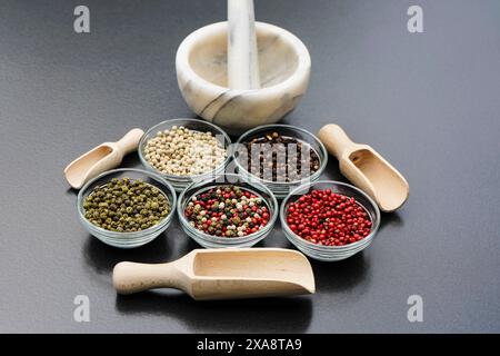 Mix di pepe rosso, nero, bianco e verde in ciotole di vetro con pala di legno e mortaio Foto Stock