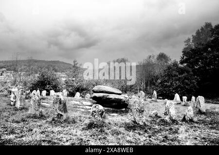 The Rocking Stone on Coedpenmaen Common era un luogo di incontro pubblico a Pontypridd dai cartisti ai druidi, anche il dottor William Price si rivolse al pubblico Foto Stock