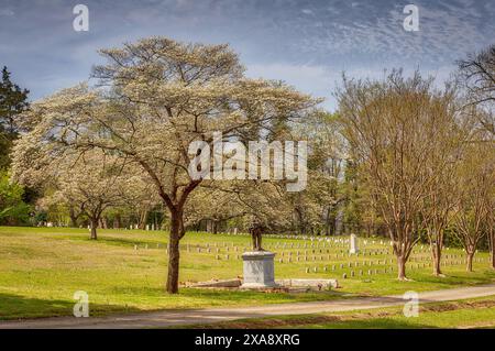 Il cimitero di confederati Foto Stock