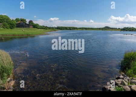 Penisola Holnis sul fiordo di Flensburg, Glücksburg, Schleswig-Holstein, Germania del Nord Foto Stock