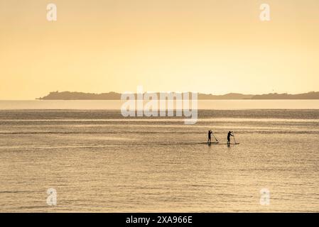 Due persone distanti su tavole da paddle (SUP) che pagaiano alla luce del mattino presto sulle acque interne del porto di Mariangi Bay Beach in nuova Zelanda Foto Stock