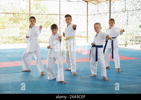 Bambini in kimono praticare karate su tatami all'aperto Foto Stock