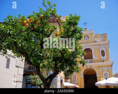 Sorrento, Italia - 07.24.2019: Le arance mature crescono su un albero sullo sfondo della Cattedrale Cattolica di Sorrento. Foto Stock