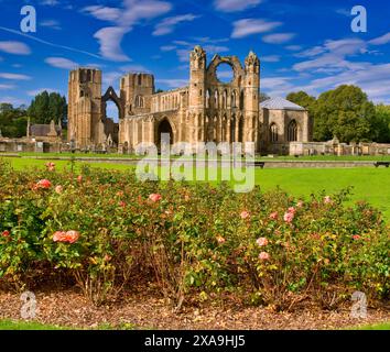 Le rovine della cattedrale di Elgin, Moray, N/e Scozia Foto Stock