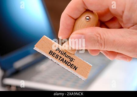 Holzstempel in der Hand mit Aufdruck - Prüfung bestanden Eine Hand hält einen Holzstempel mit dem Aufdruck - Prüfung bestanden *** timbro in legno in han Foto Stock