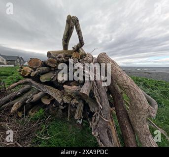 Un mucchio di tronchi d'erba vicino alla spiaggia di Ballantrae, Ayrshire, Scozia, Regno Unito Foto Stock