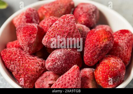 Fragole organiche congelate a freddo in una ciotola Foto Stock