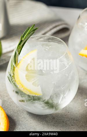 Cocktail Seltzer rigido e rinfrescante con limone e rosmarino Foto Stock