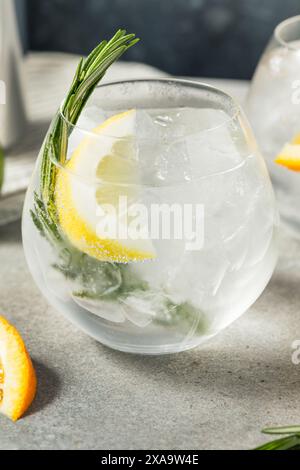 Cocktail Seltzer rigido e rinfrescante con limone e rosmarino Foto Stock