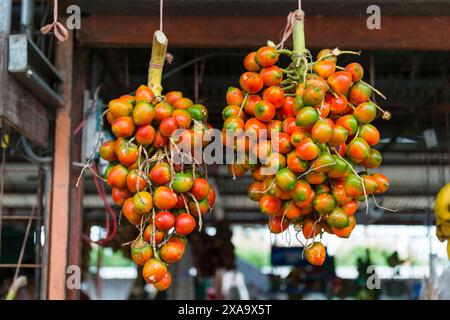 Arance sospese sopra vari frutti in un mercato Foto Stock