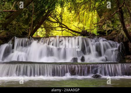 cascata nella foresta. fotografia a lunga esposizione Foto Stock