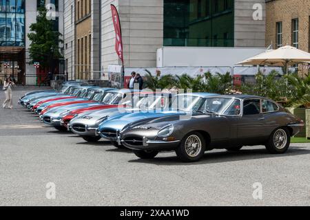 Jaguar e TYPE in mostra al Concorso di Londra del 2024 presso l'azienda di artiglieria City of London UK Foto Stock