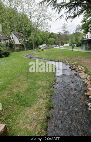 Corso d'acqua nel Luisenpark di Bad Bergzabern Foto Stock