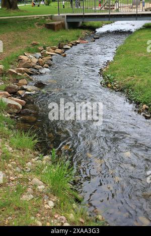 Corso d'acqua nel Luisenpark di Bad Bergzabern Foto Stock