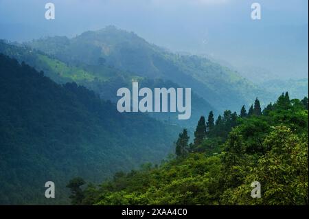 Montagne himalayane e lussureggiante foresta verde. Splendida bellezza naturale dei monsoni a Darjeeling, Bengala Occidentale, India. Giorno coperto al monsone sulle montagne Foto Stock