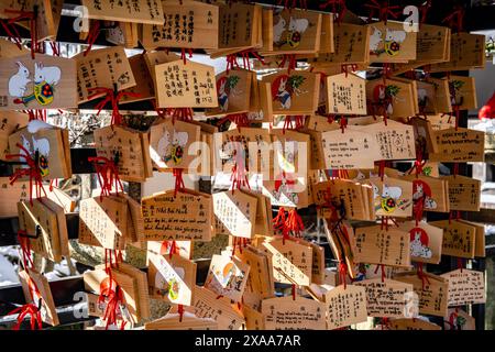 Gli Ema sono piccole targhe di legno con disegni colorati su cui i giapponesi scrivono i loro desideri e appendono in templi e santuari Foto Stock