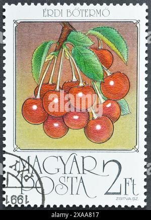 Francobollo cancellato stampato dall'Ungheria, che mostra ciliegie acide, circa 1986. Foto Stock