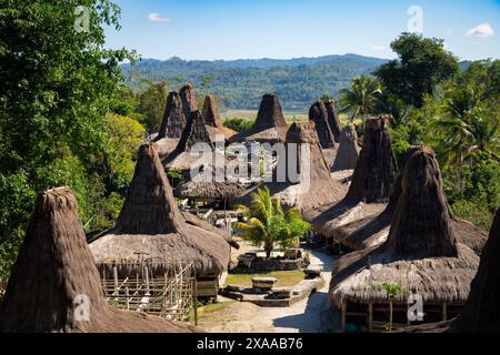 I tetti di paglia delle case a Kampung Praijing, Isola di Sumba, Indonesia Foto Stock