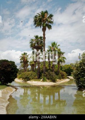 Una piccola isola piena di palme e vegetazione, sotto un cielo coperto di nuvole Foto Stock