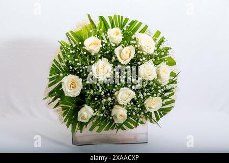 Composizione floreale in vaso su sfondo bianco Foto Stock