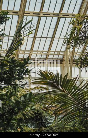 La vegetazione lussureggiante prospera in una serra di vetro piena di varie piante Foto Stock