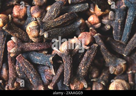 Una consistenza ravvicinata di spezie di spicchio appena essiccate sparse per terra. I chiodi di garofano fungono da erbe essiccate per aromatizzare gli alimenti e per la medicina naturale. Asciugare o. Foto Stock