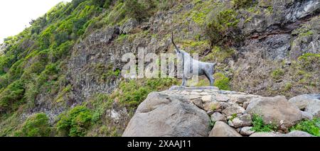 Statua di una capra sulla cima di una grande roccia, con una cascata sullo sfondo a Fajã dos Bodes-São Jorge Island-Azzorre-Portogallo. Foto Stock