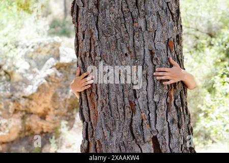 le mani del bambino abbracciano il tronco di un grande albero Foto Stock