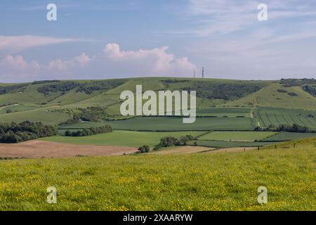 Una vista verso Firle Beacon nelle South Downs, dalla campagna vicino a Glynde, in una giornata di primavera soleggiata Foto Stock