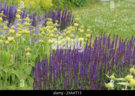 Copenhagen/ Danimarca/05 giugno 2024/Fiori e piante sono piantati in decoarte strada danese per la salute e il bell'aspetto della zona e delle strade (foto. Francis Joseph Dean/Dean Pictures) (non per uso commerciale) Foto Stock