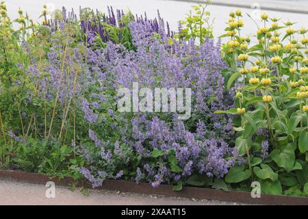 Copenhagen/ Danimarca/05 giugno 2024/Fiori e piante sono piantati in decoarte strada danese per la salute e il bell'aspetto della zona e delle strade (foto. Francis Joseph Dean/Dean Pictures) (non per uso commerciale) Foto Stock