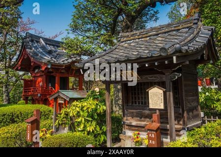 Piccolo santuario nel tempio senso-ji, Asakusa, Tokyo, Honshu, Giappone, Asia Foto Stock